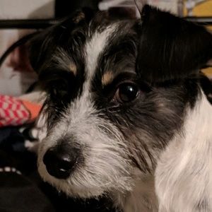 Meet your Posher, Jonathan